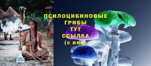 гидра Лиски
