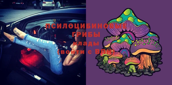 гидропоника Лихославль