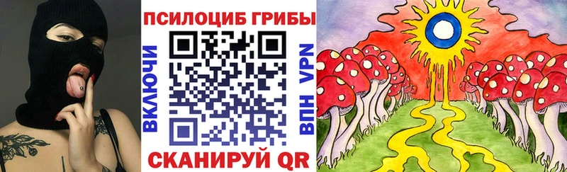 Галлюциногенные грибы Psilocybine cubensis  Купить закладки  Аргун 